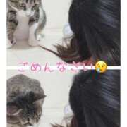 ヒメ日記 2025/11/12 17:33 投稿 ハナ バニーコレクション秋田店