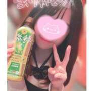 ヒメ日記 2025/11/15 07:19 投稿 ハナ バニーコレクション秋田店