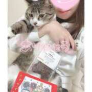 ヒメ日記 2025/11/16 11:03 投稿 ハナ バニーコレクション秋田店