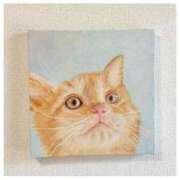 ヒメ日記 2025/11/17 13:33 投稿 ハナ バニーコレクション秋田店