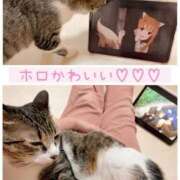 ヒメ日記 2025/11/19 20:23 投稿 ハナ バニーコレクション秋田店