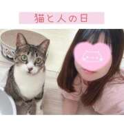 ヒメ日記 2025/11/28 17:43 投稿 ハナ バニーコレクション秋田店