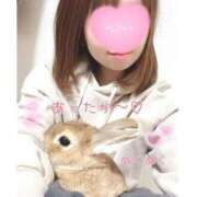 ヒメ日記 2025/11/29 20:23 投稿 ハナ バニーコレクション秋田店