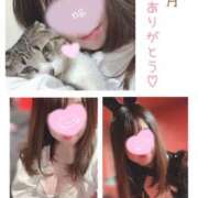 ヒメ日記 2025/12/01 10:23 投稿 ハナ バニーコレクション秋田店