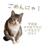 ヒメ日記 2025/12/04 01:03 投稿 ハナ バニーコレクション秋田店