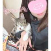 ヒメ日記 2025/12/04 12:43 投稿 ハナ バニーコレクション秋田店