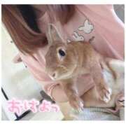 ヒメ日記 2025/12/06 07:23 投稿 ハナ バニーコレクション秋田店