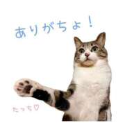 ヒメ日記 2025/12/07 18:03 投稿 ハナ バニーコレクション秋田店