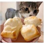 ヒメ日記 2025/12/09 11:03 投稿 ハナ バニーコレクション秋田店