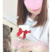 ヒメ日記 2025/12/12 23:43 投稿 ハナ バニーコレクション秋田店