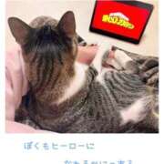 ヒメ日記 2025/12/15 21:03 投稿 ハナ バニーコレクション秋田店