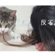 ヒメ日記 2026/01/21 15:02 投稿 ハナ バニーコレクション秋田店