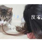 ヒメ日記 2026/01/21 15:13 投稿 ハナ バニーコレクション秋田店