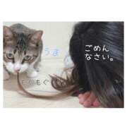 ヒメ日記 2026/10/11 12:12 投稿 ハナ バニーコレクション秋田店