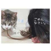 ヒメ日記 2026/10/11 12:22 投稿 ハナ バニーコレクション秋田店