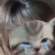 ヒメ日記 2025/03/27 22:42 投稿 ゆめ 君とふわふわプリンセスin立川