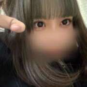 ヒメ日記 2025/04/02 10:18 投稿 うる ルーフ福井