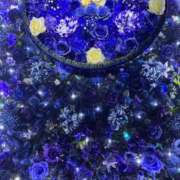 ヒメ日記 2025/04/03 17:33 投稿 うる ルーフ福井