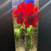 ヒメ日記 2025/06/13 17:05 投稿 まなつ 東京巨乳デリヘル おっぱいマート