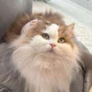 ヒメ日記 2025/06/28 20:30 投稿 まなつ 東京巨乳デリヘル おっぱいマート