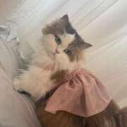 ヒメ日記 2025/07/17 02:00 投稿 まなつ 東京巨乳デリヘル おっぱいマート