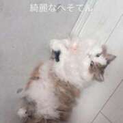 ヒメ日記 2025/07/27 11:01 投稿 まなつ 東京巨乳デリヘル おっぱいマート