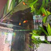 ヒメ日記 2025/08/14 15:45 投稿 まなつ 東京巨乳デリヘル おっぱいマート