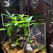 ヒメ日記 2025/08/14 23:15 投稿 まなつ 東京巨乳デリヘル おっぱいマート