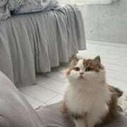 ヒメ日記 2025/08/25 13:00 投稿 まなつ 東京巨乳デリヘル おっぱいマート