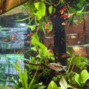 ヒメ日記 2025/08/25 23:24 投稿 まなつ 東京巨乳デリヘル おっぱいマート