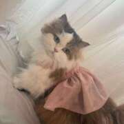 ヒメ日記 2025/08/26 23:01 投稿 まなつ 東京巨乳デリヘル おっぱいマート