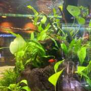 ヒメ日記 2025/09/05 19:45 投稿 まなつ 東京巨乳デリヘル おっぱいマート