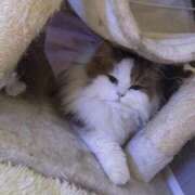 ヒメ日記 2025/09/17 15:17 投稿 まなつ 東京巨乳デリヘル おっぱいマート