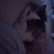 ヒメ日記 2025/09/18 23:30 投稿 まなつ 東京巨乳デリヘル おっぱいマート