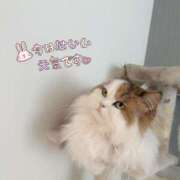 ヒメ日記 2025/09/23 09:30 投稿 まなつ 東京巨乳デリヘル おっぱいマート