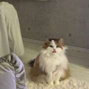 ヒメ日記 2025/10/26 03:26 投稿 まなつ 東京巨乳デリヘル おっぱいマート