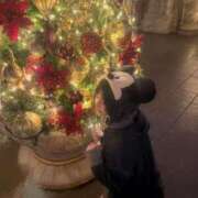 ヒメ日記 2025/11/14 11:29 投稿 まなつ 東京巨乳デリヘル おっぱいマート