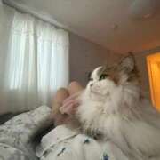 ヒメ日記 2025/11/26 11:15 投稿 まなつ 東京巨乳デリヘル おっぱいマート