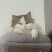 ヒメ日記 2026/02/09 16:24 投稿 まなつ 東京巨乳デリヘル おっぱいマート