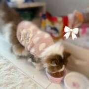 ヒメ日記 2026/02/12 10:22 投稿 まなつ 東京巨乳デリヘル おっぱいマート