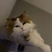 ヒメ日記 2026/02/22 04:45 投稿 まなつ 東京巨乳デリヘル おっぱいマート