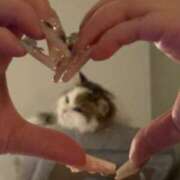 ヒメ日記 2026/02/24 03:38 投稿 まなつ 東京巨乳デリヘル おっぱいマート