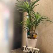 ヒメ日記 2026/03/02 20:59 投稿 まなつ 東京巨乳デリヘル おっぱいマート