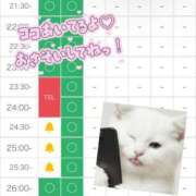 ヒメ日記 2026/03/05 21:32 投稿 まなつ 東京巨乳デリヘル おっぱいマート