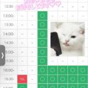 ヒメ日記 2026/03/30 18:03 投稿 まなつ 東京巨乳デリヘル おっぱいマート