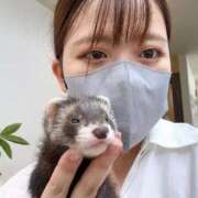 ヒメ日記 2025/08/27 22:30 投稿 日浦　りく NADIA大阪店