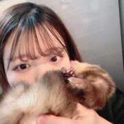 ヒメ日記 2025/10/15 20:50 投稿 日浦　りく NADIA大阪店