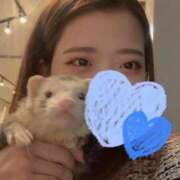 ヒメ日記 2025/12/04 00:40 投稿 日浦　りく NADIA大阪店