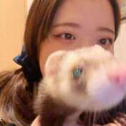 ヒメ日記 2026/01/03 14:50 投稿 日浦　りく NADIA大阪店