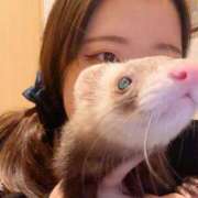 ヒメ日記 2026/01/19 20:09 投稿 日浦　りく NADIA大阪店